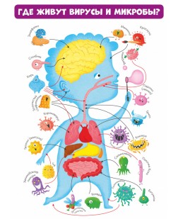 Вирусы и микробы. 10 познавательных плакатов